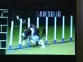 Crufts 2009 Ruby YKC Agility Dog of the Year Winner