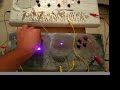 Kitten-nettiKs in action