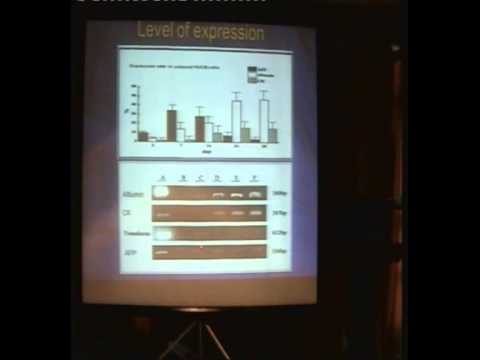 how to isolate lysosomes