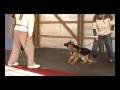 Bark and Hold Alta-Tollhaus Annie Schneiden Fels