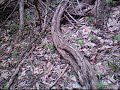 OutDoor Adventures with Zach Coriell Ep 2 OutDoor Adventures with Zach Coriell Ep 2