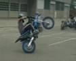 stunt scoot