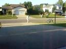 Golfing Parody