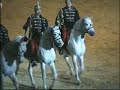 OTP Bank Lovas Világkupa / Budapest Horse Show - arabs