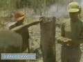 Life in the Caribean (Britannica.com)