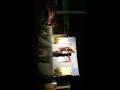 Ms Teens Antipolo