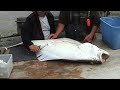 Filleting the 110 Pound Halibut