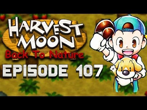 how to harvest strawberry seeds