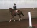 brigit-tristar-schooling-show.html