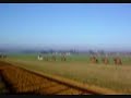 Buy A Racehorse - UK race horses for sale or syndicate Buy A Racehorse - UK race horses for sale or syndicate