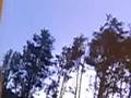 The Storm wind