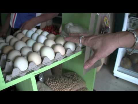 Seek Vilcabamba Video Part One 0 Seek Vilcabamba Video Part One