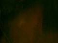 videos de Hunting for The Cat