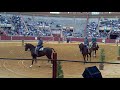 Garruchas1 (1).mp4 pasion y duende