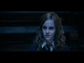 Harry & Hermione - The World Spins Madly on