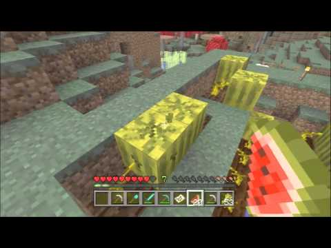 how to get pigs to follow u in minecraft