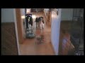 ALPO Real Meat Moments Video Contest