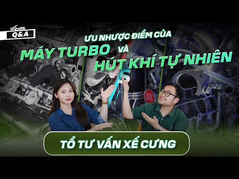 Peugeot 3008 All New về Việt Nam? Sự khác biệt của máy 2.0 và máy 1.6T trên Kia Sportage | Q&A6