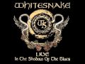 Whitesnake All I Want Is You Video and Lyrics