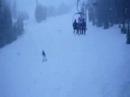 Mammoth Fun