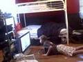 fatty breaks $600 tv with nintendo wii remote