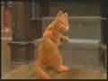 Voulez vous danser ?