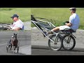 Peninsula Farm Horses training Peninsula Farm Horses training