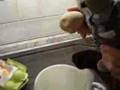 SEPP - Eierlikoer mit Drehungen