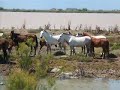 Sevilla a Sanlucar en Bici (mayo 2008)