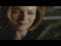 Shipper Video
