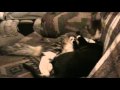 dirty Joe.wmv