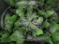 Techno Trance - DJ Toxic: It\