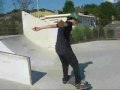 Skate vid ugn