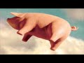 la mejor canci�n del mundo