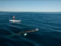 Karen Wrenn Catalina Challenge Minke Whale Experience Slide show The Minke whale that joined me for almost two hours on my 39.8 mile journey from Avalon to Dana Point was swimming below me in the clear water. I could see the whales eyes looking at me, its tail would be at times right under and in front of my Naish Glide. The Kaenon polarized glasses I was testing worked almost too well. I just had to trust the whale and keep paddling. Hope you enjoy