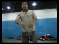 An JianQiu Demos Baguazhang An JianQiu Demos Baguazhang