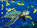 Ccleaner - How to get rid of unnecessary files FOR FREE