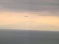 R.C bird glider,planeur d\
