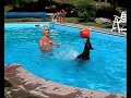 In piscina con Petra e Dylan