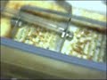 Hydrogen HHO Electrolyzer test unit 10-2