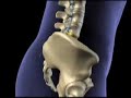 NYC Multi-Directional Spinal Decompression NYC
