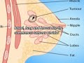 Be Aware of the Early Signs and Symptoms of Cancer Be Aware of the Early Signs and Symptoms of Cancer