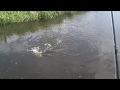 The magic of fishing