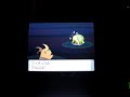 capture tauros shiney + shiny patch au pokeradar sur diamant capture tauros shiney + shiny patch au pokeradar sur diamant