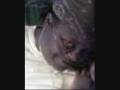 videos de ericka ericka erickaerica