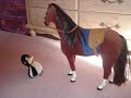 Webkinz Stop Motion
