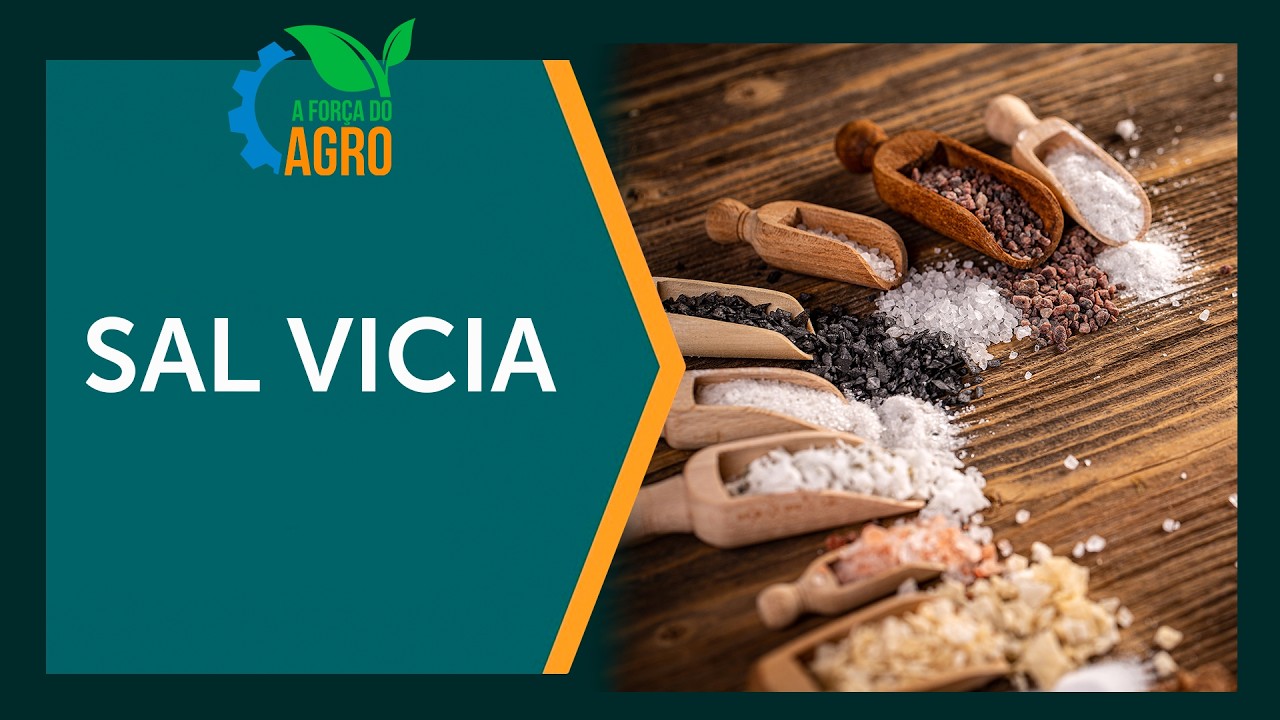 Sal vicia? Especialista da Oeste revela a verdade sobre o sódio  |  AFA, com Joice Maffezzolli