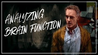 Analyzing brain function.