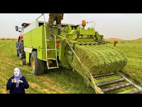 الفيديو التعريفي لشركة الضمان للاستثمار والصناعات الزراعية