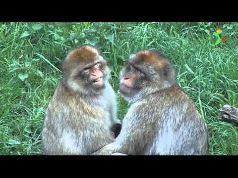 Kamencové jezero v Chomutově - letní výlet a skvělé koupání v přírodě